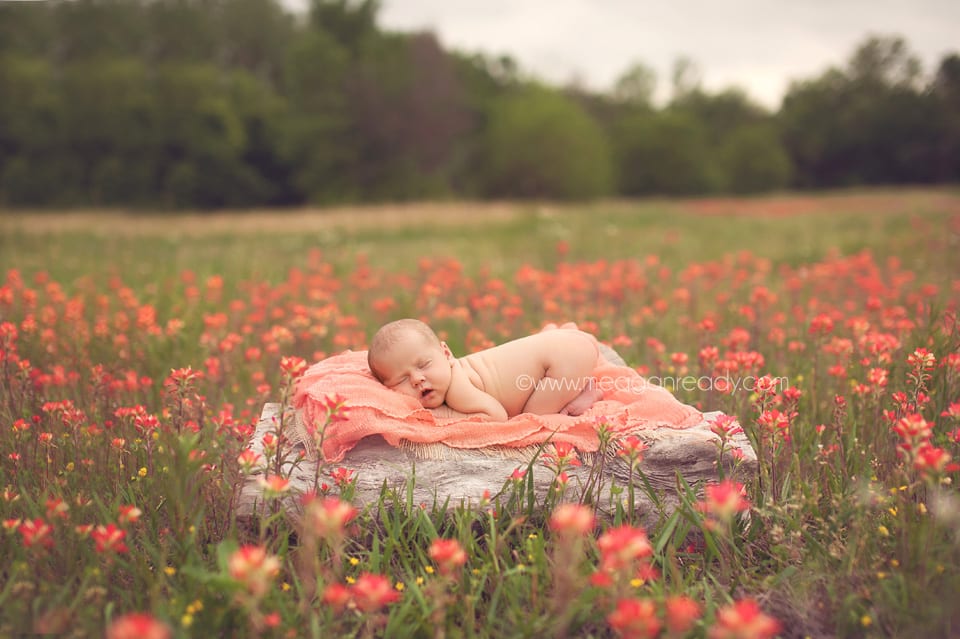 newborn_photography_in_tulsa_wildflower_field